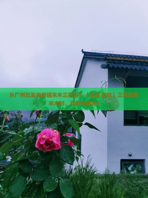 广州去新疆禾木三日游