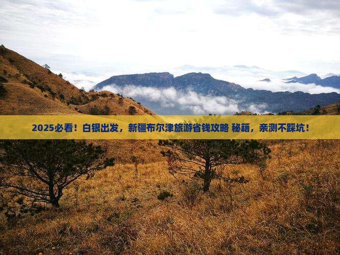 白银到新疆布尔津旅游