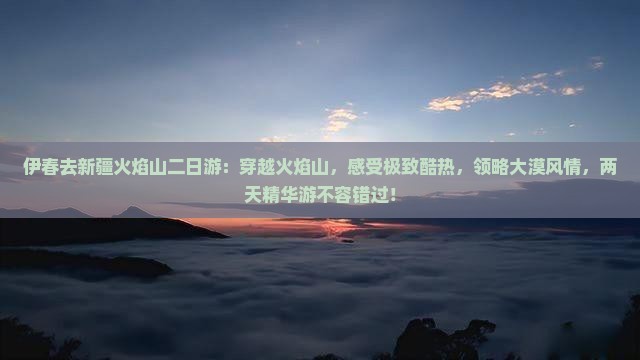 伊春去新疆火焰山二日游