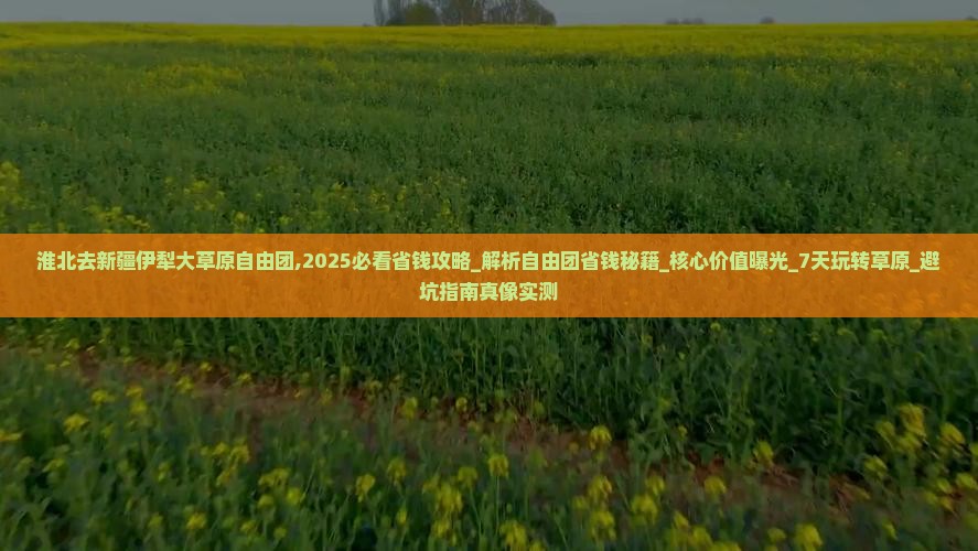 淮北去新疆伊犁大草原自由团