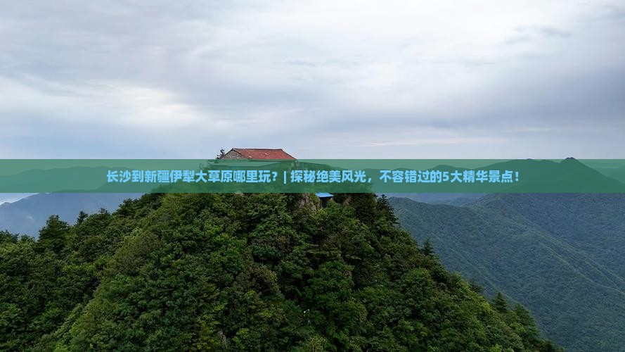 长沙到新疆伊犁大草原哪里玩