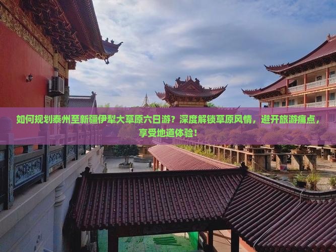 如何规划泰州至新疆伊犁大草原六日游？深度解锁草原风情，避开旅游痛点，享受地道体验！