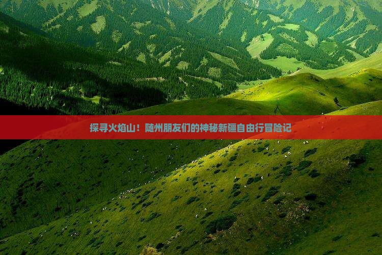 探寻火焰山！随州朋友们的神秘新疆自由行冒险记