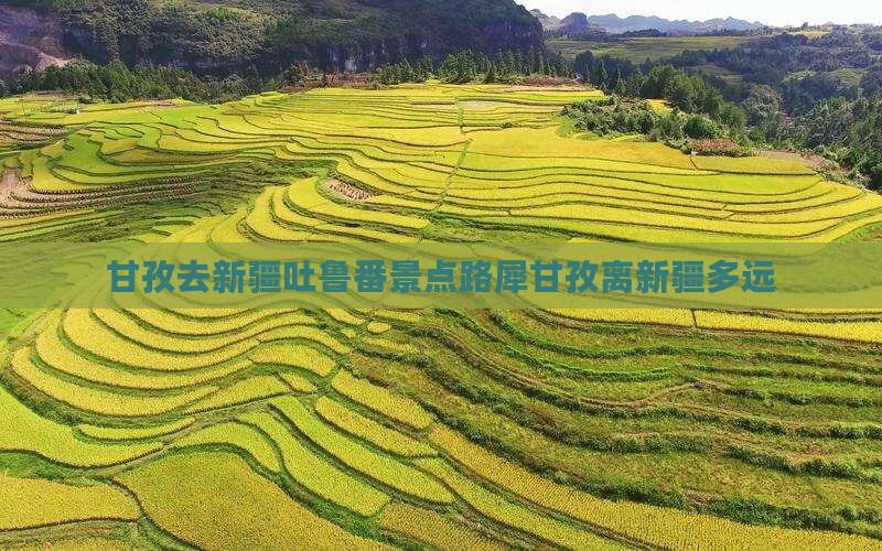 甘孜去新疆吐鲁番景点路犀甘孜离新疆多远
