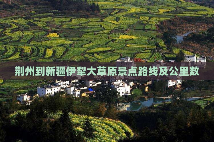 荆州到新疆伊犁大草原景点路线及公里数