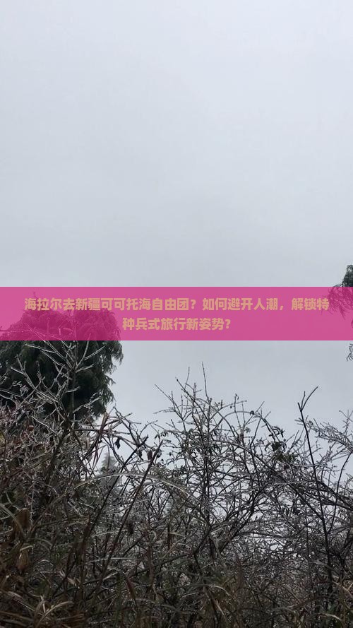 海拉尔去新疆可可托海自由团？如何避开人潮，解锁特种兵式旅行新姿势？