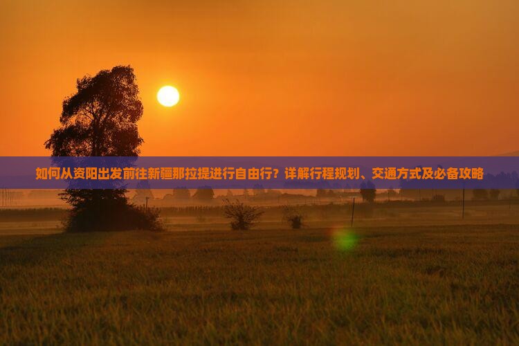 如何从资阳出发前往新疆那拉提进行自由行？详解行程规划、交通方式及必备攻略