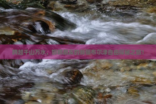 跨越千山万水，邯郸朋友的新疆布尔津自由探秘之旅！