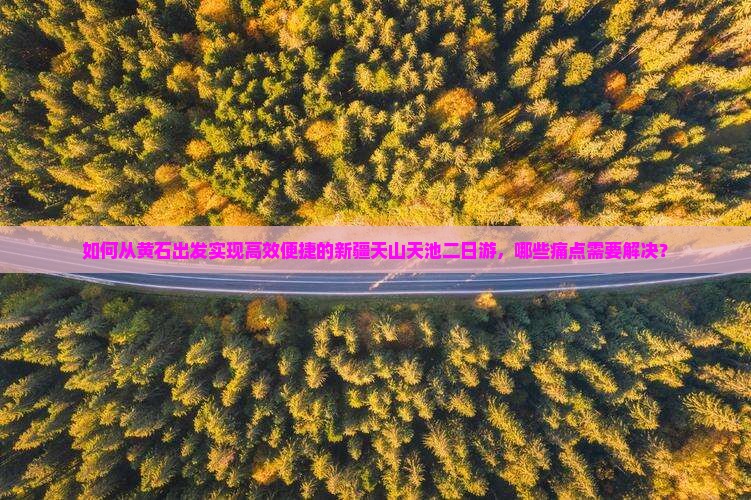 如何从黄石出发实现高效便捷的新疆天山天池二日游，哪些痛点需要解决？