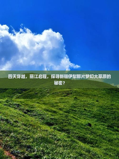 四天穿越，丽江启程，探寻新疆伊犁那片梦幻大草原的秘密？