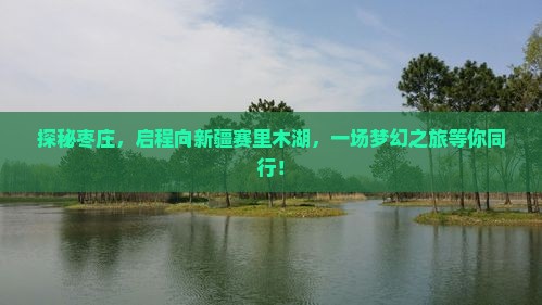 探秘枣庄，启程向新疆赛里木湖，一场梦幻之旅等你同行！