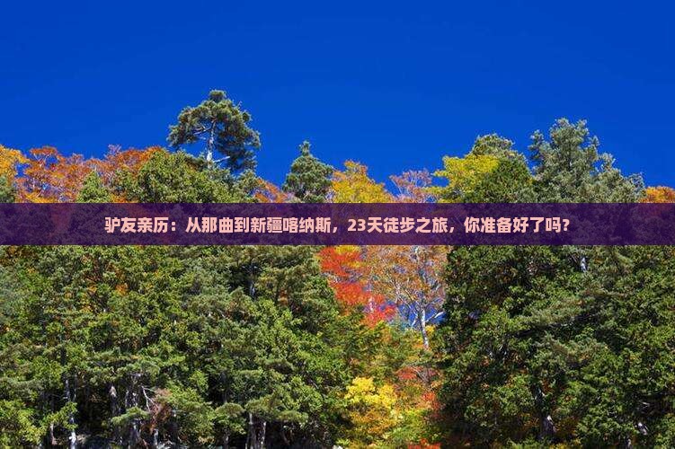 驴友亲历：从那曲到新疆喀纳斯，23天徒步之旅，你准备好了吗？