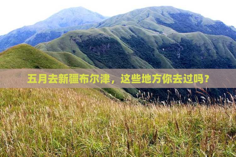 五月去新疆布尔津，这些地方你去过吗？