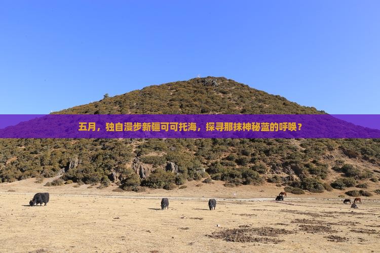 五月,独自漫步新疆可可托海,探寻那抹神秘蓝的呼唤? 五月,独自漫步新疆可可托海,探寻那抹神秘蓝的呼唤?