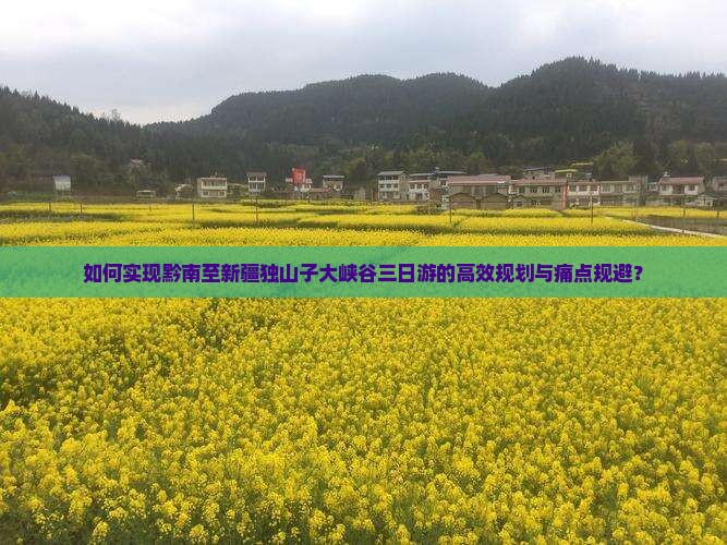 如何实现黔南至新疆独山子大峡谷三日游的高效规划与痛点规避？