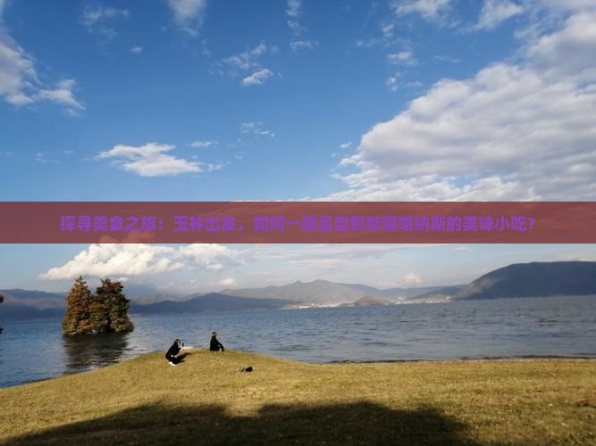 探寻美食之旅：玉林出发，如何一路品尝到新疆喀纳斯的美味小吃？