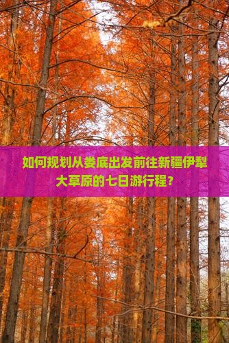 如何规划从娄底出发前往新疆伊犁大草原的七日游行程？