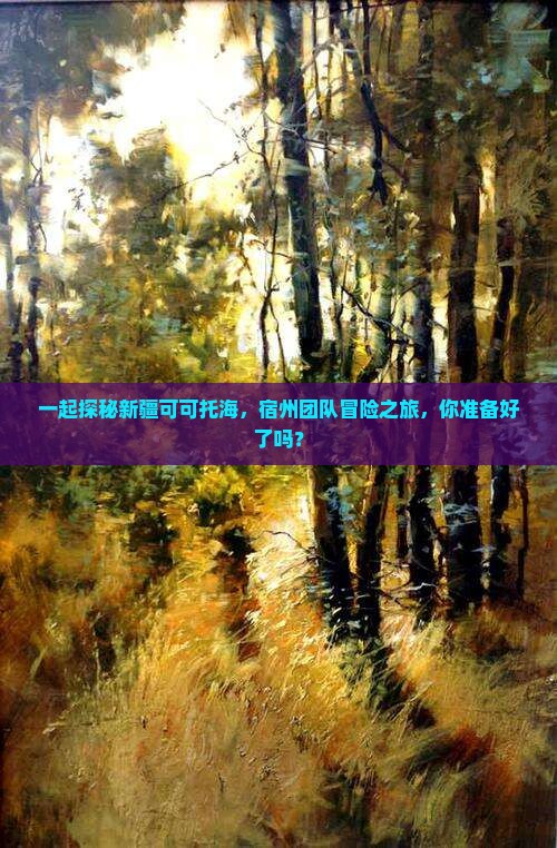 一起探秘新疆可可托海，宿州团队冒险之旅，你准备好了吗？