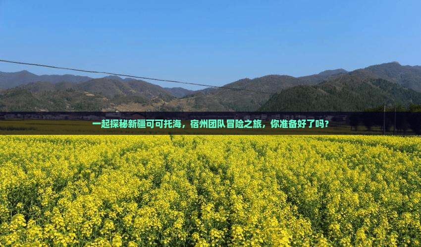 一起探秘新疆可可托海，宿州团队冒险之旅，你准备好了吗？