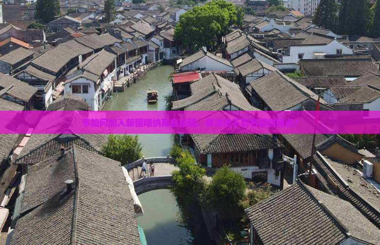 节如何加入新疆喀纳斯自由团，解决抢不到名额的痛点？
