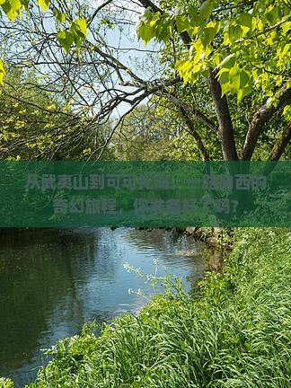 从武夷山到可可托海，一路向西的奇幻旅程，你准备好了吗？