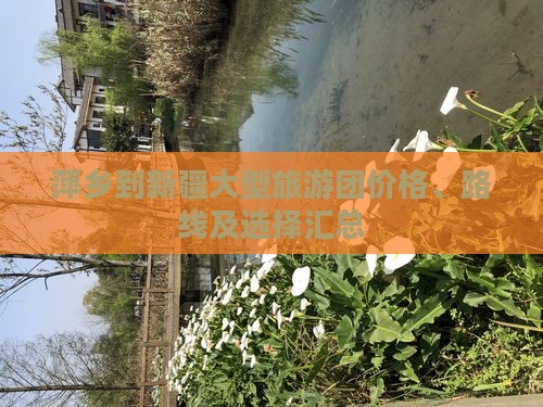 萍乡到新疆大型旅游团价格、路线及选择汇总