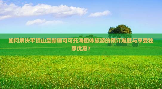 如何解决平顶山至新疆可可托海团体旅游的预订难题与享受独家优惠？