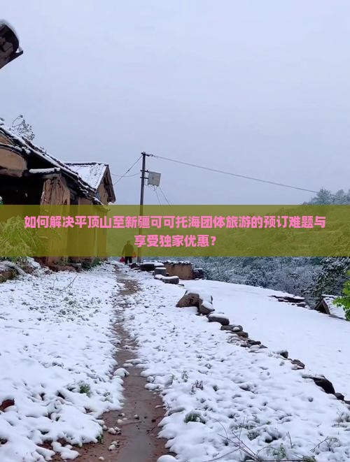 如何解决平顶山至新疆可可托海团体旅游的预订难题与享受独家优惠？