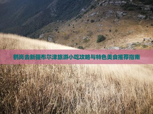 鹤岗去新疆布尔津旅游小吃攻略与特色美食推荐指南