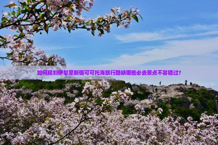 如何规划伊犁至新疆可可托海旅行路峡哪些必去景点不容错过？