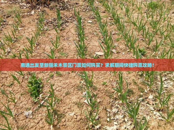 南通出发至新疆禾木景区门票如何购买？求解期间快捷购票攻略！