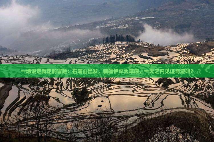 一场说走就走的冒险：石嘴山出发，新疆伊犁大草原，一天之内见证奇迹吗？