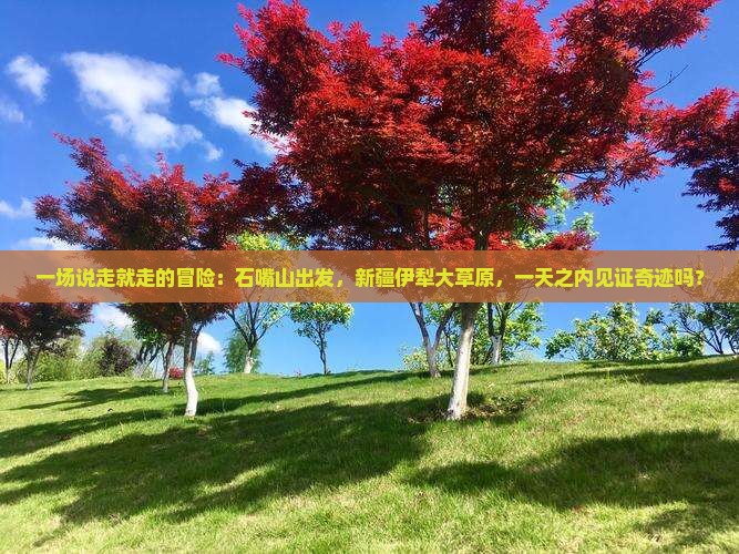 一场说走就走的冒险：石嘴山出发，新疆伊犁大草原，一天之内见证奇迹吗？