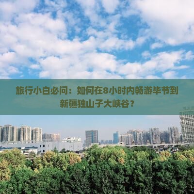旅行小白必问：如何在8小时内畅游毕节到新疆独山子大峡谷？