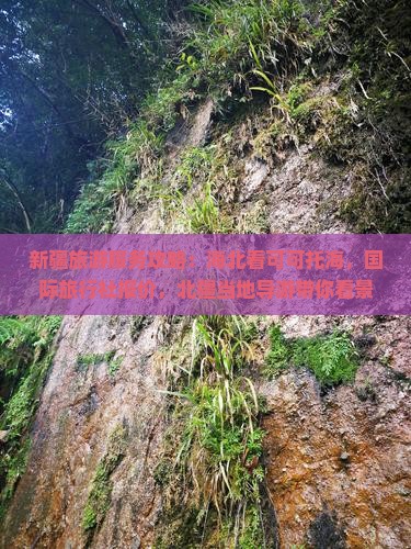 新疆旅游服务攻略：海北看可可托海，国际旅行社报价，北疆当地导游带你看景点，新疆旅游详解多少钱旅行团价格