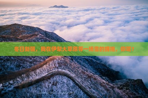 冬日新疆，我在伊犁大草原等一场雪的拥抱，你呢？
