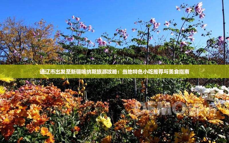 通辽市出发至新疆喀纳斯旅游攻略：当地特色小吃推荐与美食指南