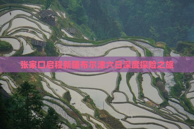 张家口启程新疆布尔津六日深度探险之旅