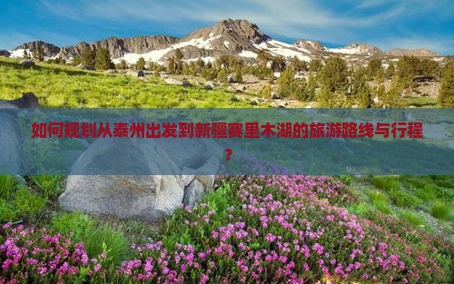 如何规划从泰州出发到新疆赛里木湖的旅游路线与行程？