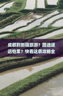 成都到新疆旅游？路途遥远怕累？快看这条攻略全解新疆之旅
