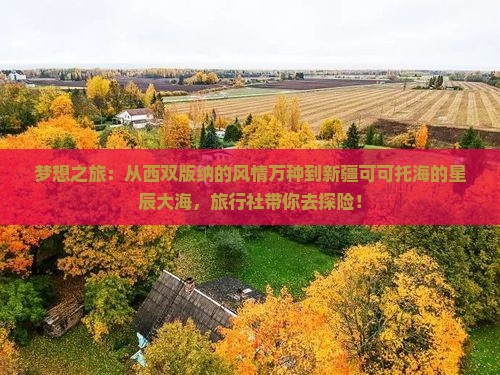 梦想之旅：从西双版纳的风情万种到新疆可可托海的星辰大海，旅行社带你去探险！