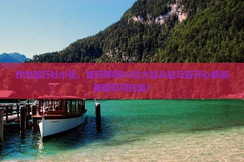 作为旅行社小张，如何带领50位大妈从驻马店开心畅游新疆可可托海？