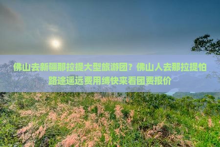 佛山去新疆那拉提大型旅游团？佛山人去那拉提怕路途遥远费用缚快来看团费报价