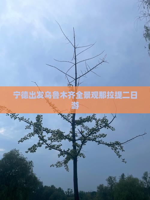 宁德出发乌鲁木齐全景观那拉提二日游