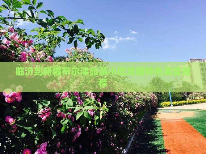 临汾到新疆布尔津旅游小吃攻略特色美食推荐
