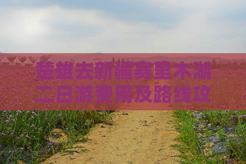 楚雄去新疆赛里木湖二日游费用及路线攻略