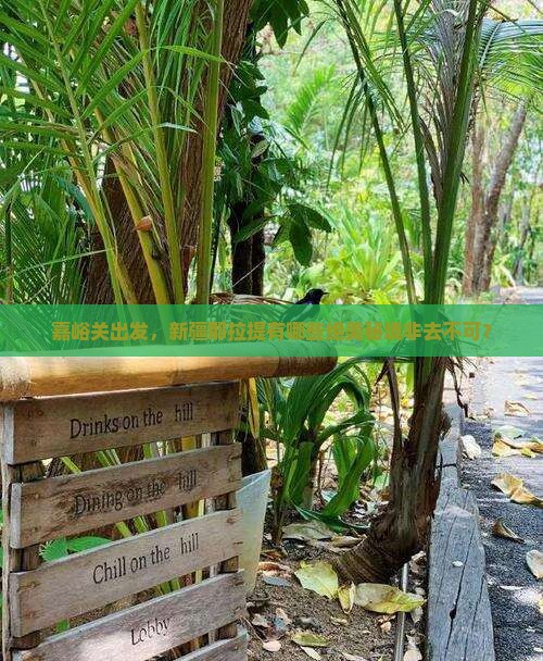 嘉峪关出发，新疆那拉提有哪些绝美秘境非去不可？