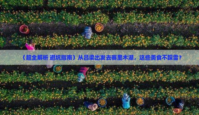 吕梁到新疆赛里木湖旅游小吃