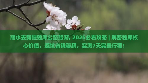 丽水去新疆独库公路旅游