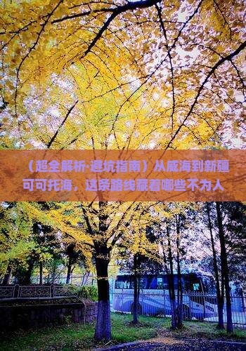 威海到新疆可可托海哪里玩